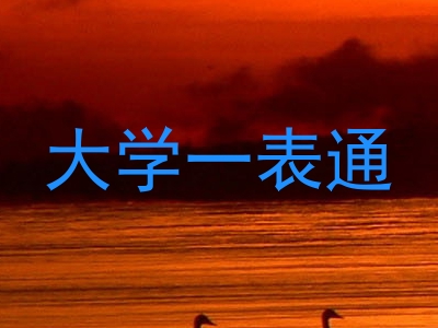大学一表通
