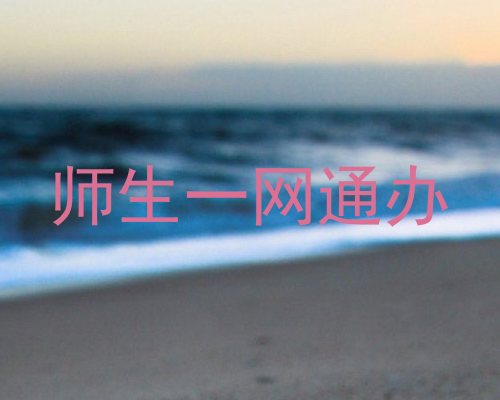 师生一网通办