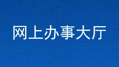 网上办事大厅