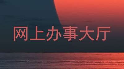 网上办事大厅