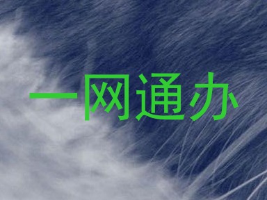 一网通办