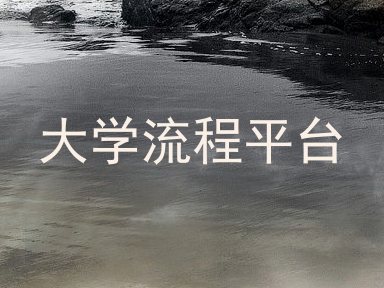 大学流程平台