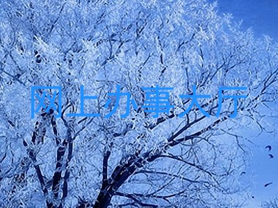 网上办事大厅