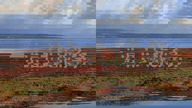 一站式服务