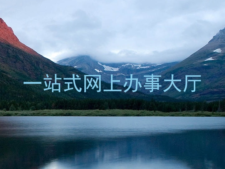 一站式网上办事大厅
