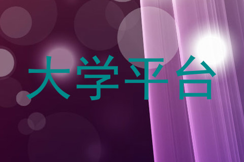 大学平台