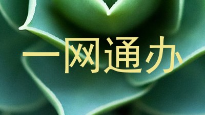 一网通办