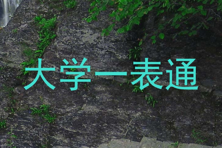 大学一表通