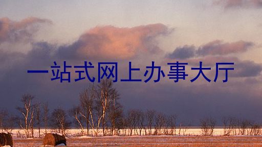 一站式网上办事大厅