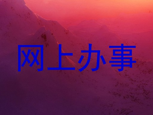网上办事