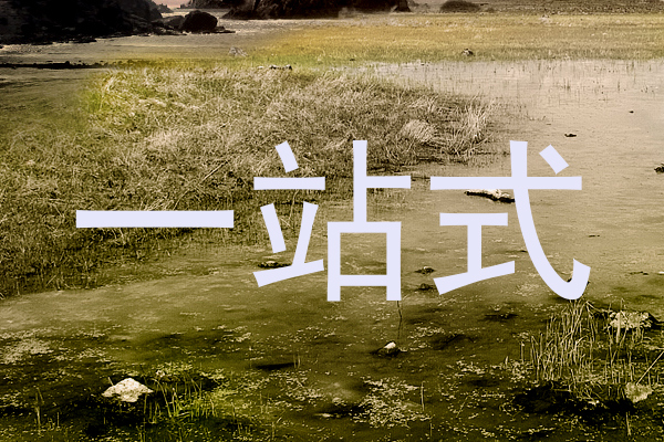 一站式