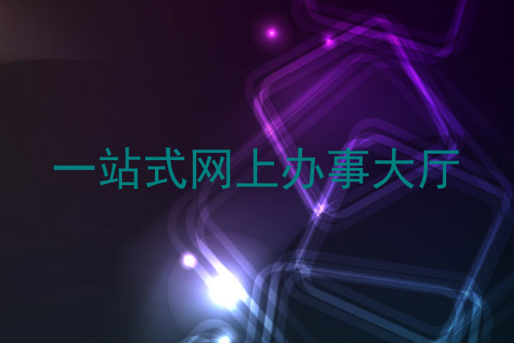 一站式网上办事大厅