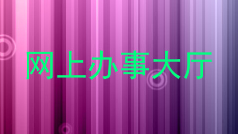 网上办事大厅