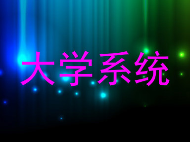 大学系统