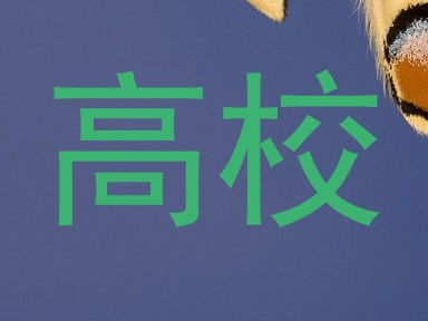 高校