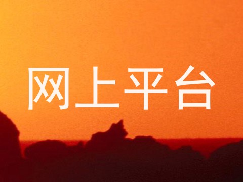网上平台