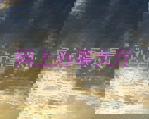 网上办事大厅