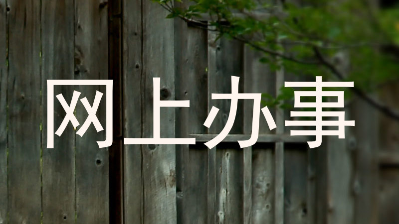 网上办事