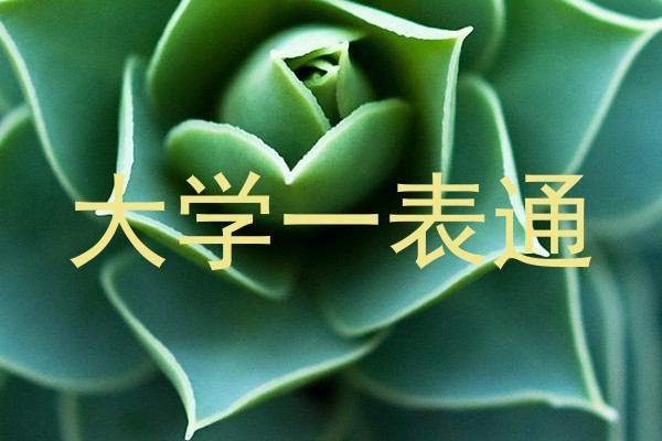 大学一表通