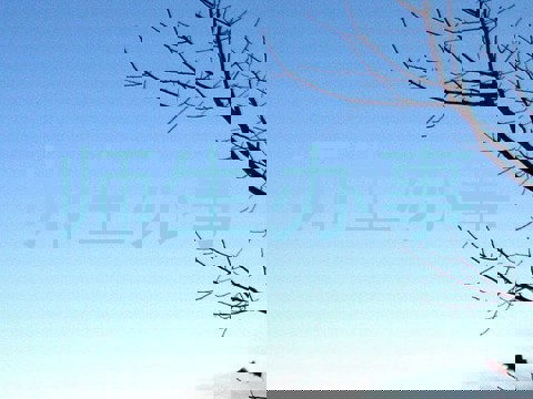 师生办事