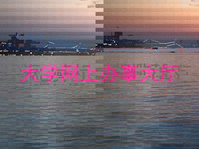 大学网上办事大厅
