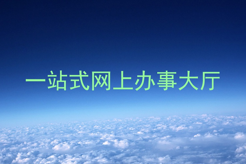 一站式网上办事大厅