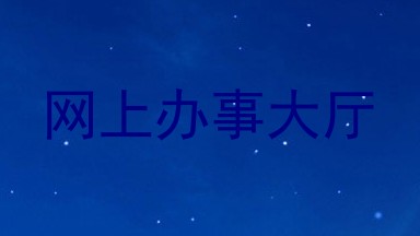 网上办事大厅