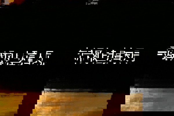 一站式网上办事大厅