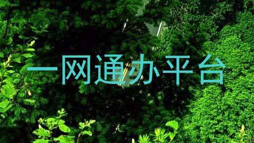 一网通办平台