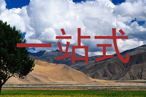 一站式