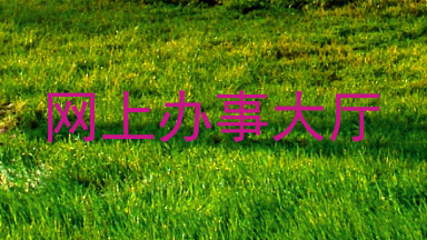 网上办事大厅