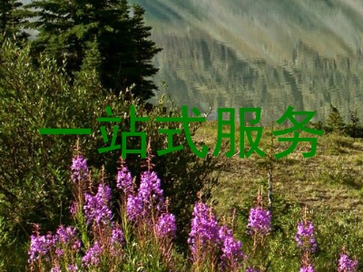一站式服务