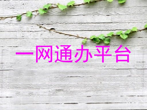 一网通办平台
