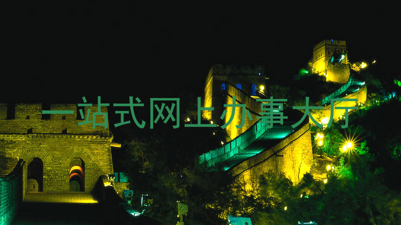 网上办事大厅