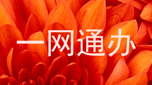 一网通办