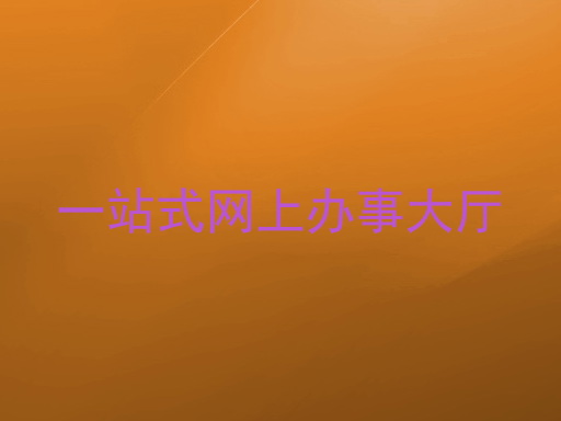 一站式网上办事大厅