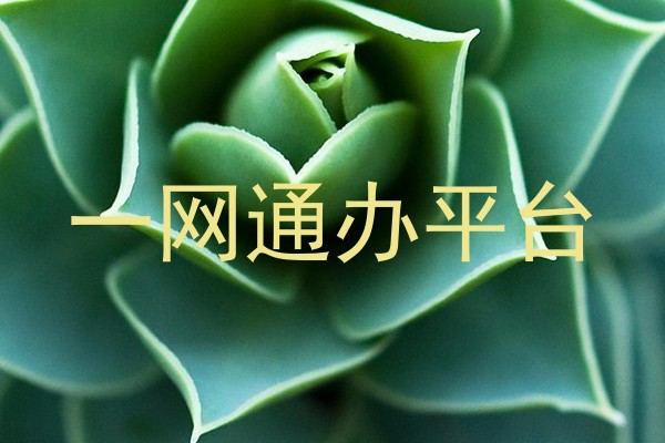 一网通办平台