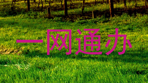 一网通办