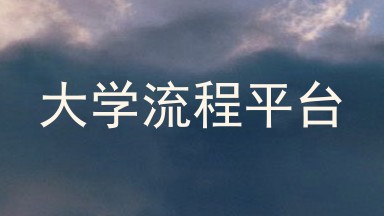 大学流程平台