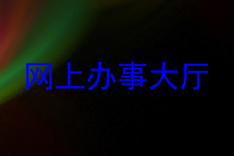 网上办事大厅
