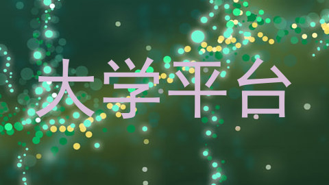 大学平台