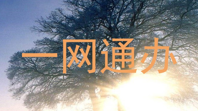 一网通办