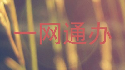一网通办