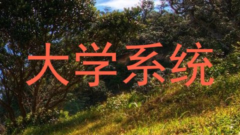 大学系统