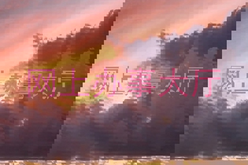 网上办事大厅