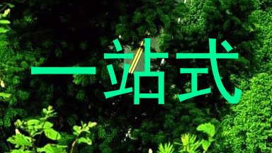 一站式
