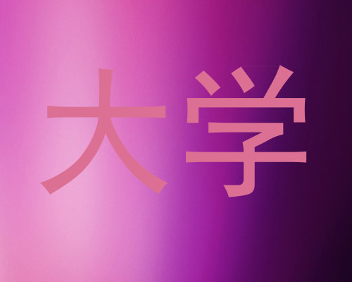 大学