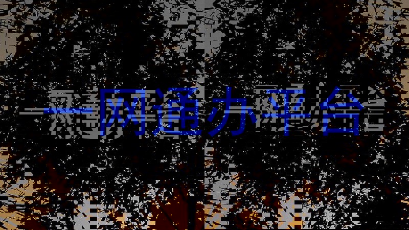 一网通办平台