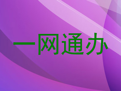 一网通办