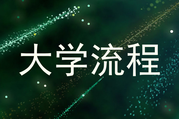 大学流程